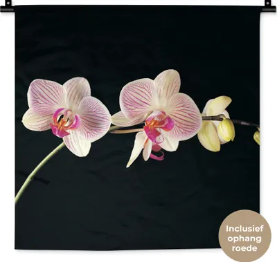 Produktbild von MuchoWow® Wandteppich Wandbehang Orchidee - Blumen - Schwarz - Rosa - Knöpfe 60x60 cm Tapisserie Dekoration Wandtuch - Dekorationen - Wand Decke