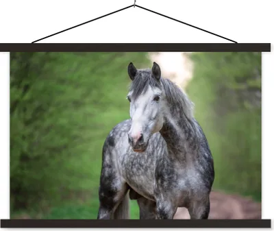 Produktbild von MuchoWow® Textilposter Pferd - Wald - Porträt 120x80 cm mit schwarzem Rahmen - Wanddeko