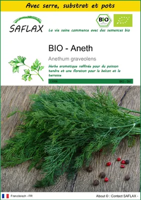 Image de SAFLAX Ensemble de culture -- Aneth - 700 graines - Anethum