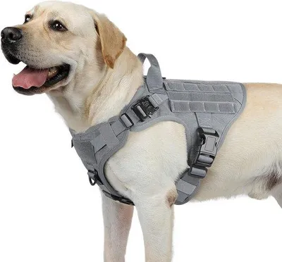 Immagine prodotto di Imbracatura anti-tiro Unyqoos® per cani, taglia M, imbracatura tattica di sicurezza realizzata in nylon 1050D, con imbottitura sul petto, chiusure in metallo, maniglia, sistema Molle, colore grigio (circonferenza del collo da 42 a 72 cm, circonferenza del torace da 64,5 a 91,5 cm, lunghezza del dorso 26,6 cm)