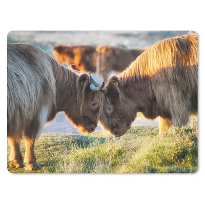 Produktbild von MuchoWow® Mauspad Mousepad Schottische Highlander - Tiere - Sonne 40x30 cm - Mousepads - Maus Mat - Pad - Mausunterlage - Anti Rutsch