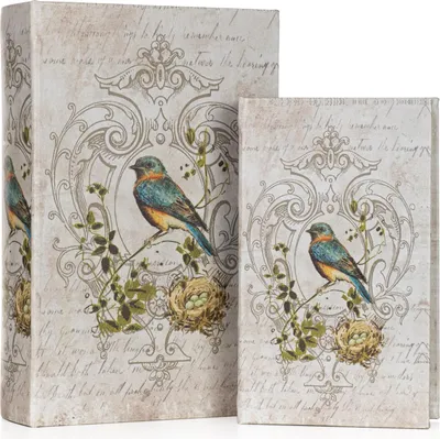 Image de Couverture de livre avec motif d'oiseau - Cache-secret en 2 parties au design vintage - Boîte à livres décorative pour bijoux & documents - Boîte de rangement 27,2x18x7cm & 21,2x13x5cm