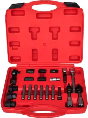 Image de Kit de démontage de roue libre d'alternateur 22 pcs