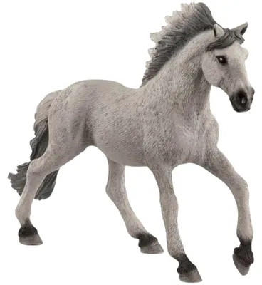 Produktbild von Schuhe Schleich 13915 für Kinder