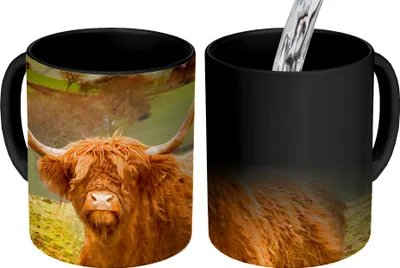 Produktbild von MuchoWow® Zauber Tasse Zaubertasse Magic Schottischer Highlander - Berg - Herbst 350 ml Farbwechsel Becher Geschenk Geschenkidee - Magic-Tasse - Fototasse - Keramiktassen - Bilder - Tasse Kaffee - Getränkbecher - Kaffetassen