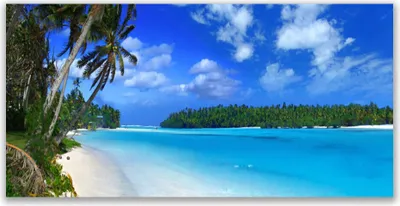 Produktbild von Glasbilder 120x60 Wandbild Druck auf Glas Strand Palmen Südsee Landschaft