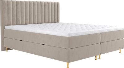 MIRJAN24 Boxspringbett Elegance, Stilvoll Doppelbett mit zwei Bettkästen und Topper (Farbe: Fresh 01, Größe: 180x200 cm)