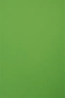Produktbild von Tonpapier, 50 x 70 cm, 130g/m² Hellgrün