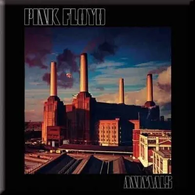 Produktbild von Pink Floyd - Tiere Kühlschrank Magnet