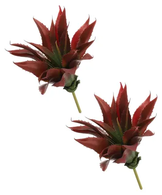 Obrázok produktu pre Elzusha – Súprava 2 veľkých umelých sukulentov Aloe, dekoratívne, zelená/červená/hnedá