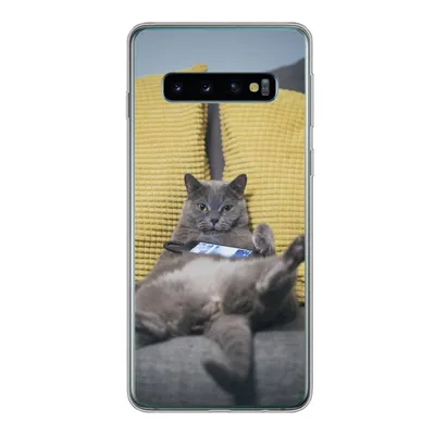 Produktbild von MuchoWow® Handyhülle Schutzhülle Hülle für Samsung Galaxy S10 Katze - Bank - Faule Silikon Softcase Handy Hülle - Handytasche