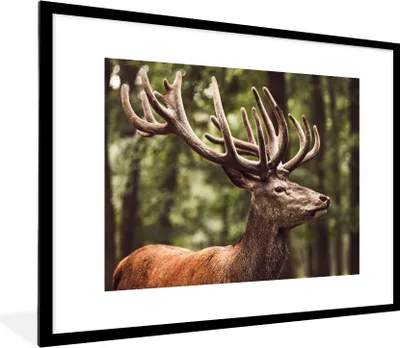 Produktbild von MuchoWow® Gerahmtes Poster Hirsch - Natur - Geweih - Wald - Tiere 80x60 cm - Poster mit Schwarzem Bilderrahmen Wandposter Rahmen Foto Bilder - Schlafzimmer-Dekorationen - Fotoposter