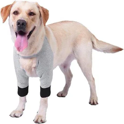 Produktbild von Famanu Ellenbogenbandage Weiche Gepolsterte Erholungsstütze für Hunde Ellenbogen und Schulterunterstützung - Hygroma Druckstellen