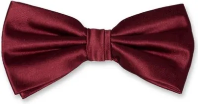 Immagine prodotto di Go Go Gadget – papillon pre-annodato – fiocco a farfalla – papillon – per adulti – rosso