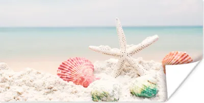 Produktbild von MuchoWow® Poster Meer - Seesterne - Muscheln 40x20 cm - Poster für die Wand - Poster Schlafzimmer