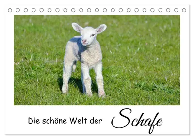 Produktbild von Die schöne Welt der Schafe (Tischkalender 2027 DIN A5 quer), CALVENDO Monatskalender