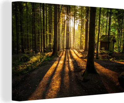Produktbild von OneMillionCanvasses® - Leinwandbilder - 140x90 cm, Sonne - Bäume - Wald - Landschaft - Natur, Wandbilder Kunstdruck Wanddekoration - Foto auf Leinwand - Gemälde auf Holzrahmen