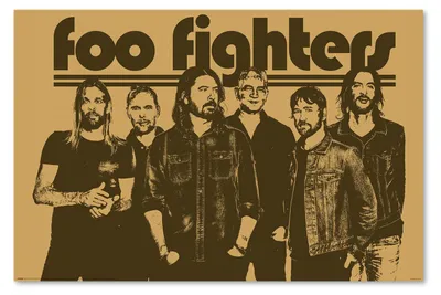 Immagine prodotto di Poster dei Foo Fighters  91,5 x 61 cm