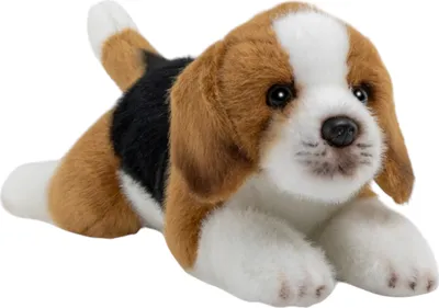 A plush toy beagle dog lying down on a white background.