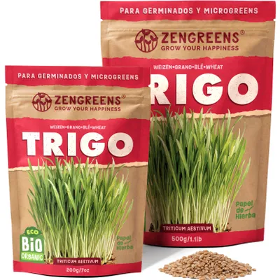 Imagen del producto de ZenGreens® Semillas Eco para Germinar Trigo 500 g – Brotes y Microgreens