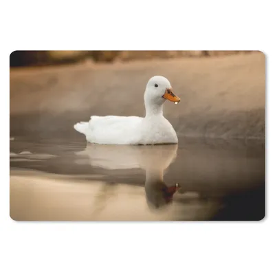 Produktbild von MuchoWow® Schreibtischunterlage Ente - Vogel - Wasser - Weiß 60x40 cm - XXL Mauspad - Großes Mauspad