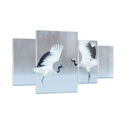 Produktbild von Bilder auf glas - 4 Teile - Kraniche kämpfen tanzen - 160x90cm - Glasbilder - Wandbilder - Bilder - zum Aufhängen bereit - Wanddekoration aus Glas - Glas Bilder - Wandbild auf Glas - GDL160x90-4497