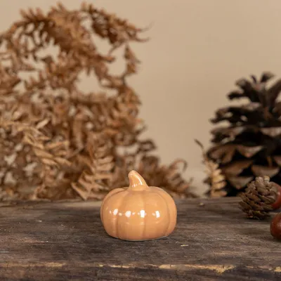 Produktbild von Kürbis Tranebo - terracotta: medium