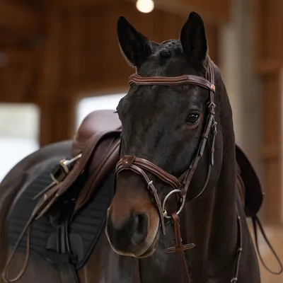 Produktbild von Kieffer Trensenzaum Palmanova, Leder, anatomisch geformten Genickstück, Farbe:chestnut-, Größe:Warmblut
