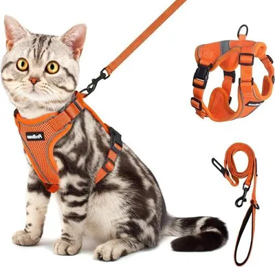 Productafbeelding van Famanu kattenharnes met lijn - Ademend, verstelbaar ontwerp - Oranje, klein