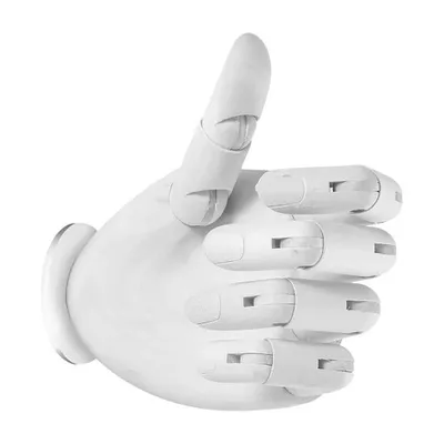 Produktbild von Paul Neuhaus Wandleuchte Hold It Hand Weiß verstellbar ohne Leuchtmittel und Fassung