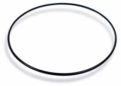 Produktbild von Casio Dichtungsring O-Ring DW-056 DW-5600 DW-5600E DW-8600 74206244