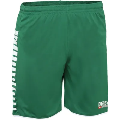 Produktbild von DERBYSTAR Hyper Shorts Herren grün/weiß 3XL
