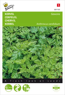 Produktbild von Kerbel Gewöhnlicher | Kerbelsamen von Buzzy Seeds