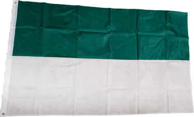 Produktbild von Fahne Flagge Schützenfest weiß grün 90 x 150 cm mit 2 Ösen von Versand-King