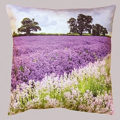 Produktbild von Kissenhülle 40 x 40 cm diverse Motive 40 x 40 cm Kissenhülle Motiv Lavendelfeld