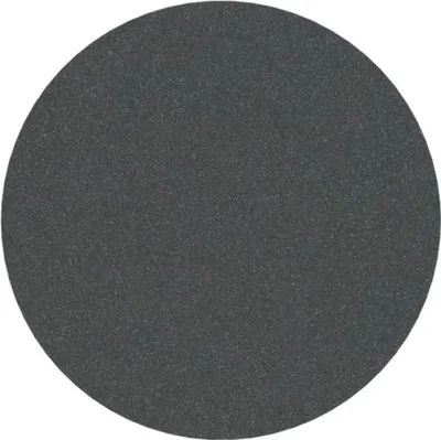 Produktbild von PRO F355 Schleifblatt, 125 mm, 240, 10-tlg.