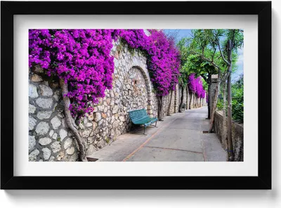Produktbild von Straße mit Blumen auf Capri, Italien– Wandbild mit Rahmen – Gerahmtes Bild  – Wanddekoration – 30x20 cm –  Schwarz Rahmen