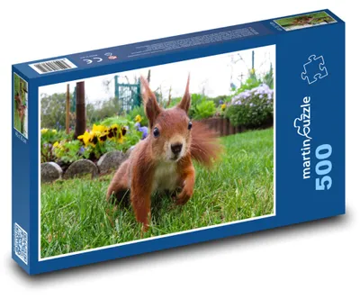 Obrázok produktu pre Puzzle 500 Veverička v záhrade - martinpuzzle
