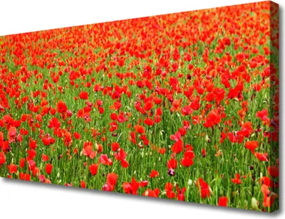 Produktbild von Tulup Leinwand-Bilder 100x50 Wandbild Canvas Kunstdruck Mohnblumen Natur