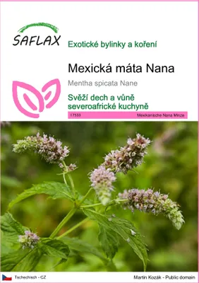 Obrázek produktu pro SAFLAX - Mexická máta Nana - Mentha spicata Nane - 500 Semena