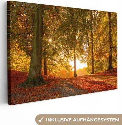 Produktbild von MuchoWow® - Leinwandbilder - Herbst - Licht - Wald, Wandbild, Wanddeko Bilder Wohnzimmer, 120x80 cm