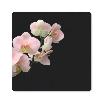 Produktbild von MuchoWow® Mauspad Mousepad Orchidee - Blumen - Rosa - Stilleben - Flora 30x30 cm - Mousepads - Maus Mat - Pad - Mausunterlage - Gaming
