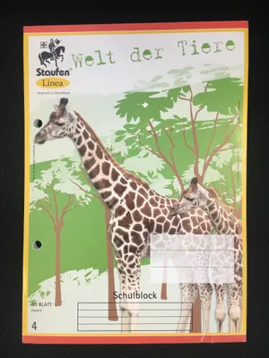 Produktbild von Staufen Linea Schulblock LIN 4 DIN A5
