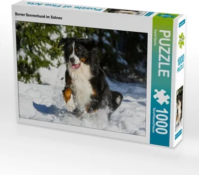 Produktbild von CALVENDO Puzzle Berner Sennenhund im Schnee | 1000 Teile Lege-Größe 64x48cm Foto-Puzzle für glückliche Stunden