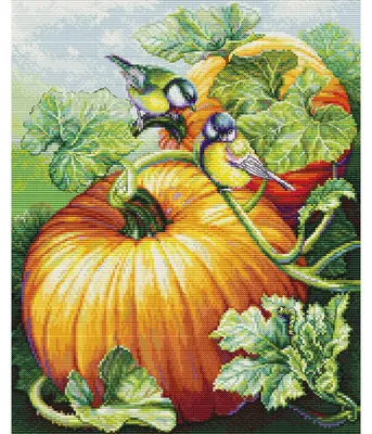 Produktbild von Luca-S Kreuzstich-Set "Vögel auf Kürbis", 26x32 cm