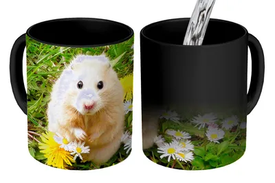Obrázok produktu pre KitchenYeah® Magický hrnček Magický hrnček Magický škrečok medzi kvetmi 350 ml Hrnček na zmenu farby Nápad na darček - Magický hrnček - Foto hrnček - Keramické hrnčeky - Obrázky - Šálka na kávu - Nápojový hrnček -