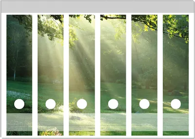 Produktbild von Wallario Ordnerrücken Sticker, selbstklebend für breite Ordner, 6 Stück, Motiv Sonnenstrahlen im Wald