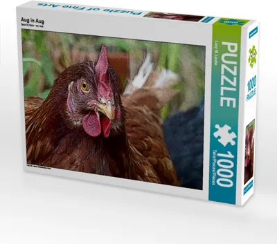 Produktbild von Calvendo Aug in Aug 1000 Teile Puzzle quer 640x480mm, M. Laube Lucy; 7344650