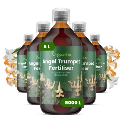 Produktbild von Engelstrompete Flüssigdünger 5x1L – 3-4-3 NPK – Flüssigdünger Für Blühpflanzen – Fördert Stiele & Vitalität – Organifer