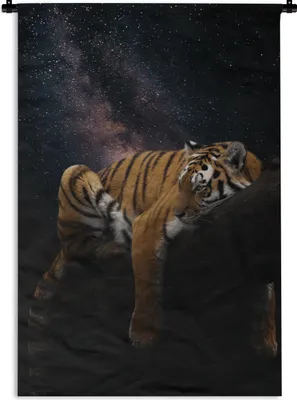 Produktbild von MuchoWow® Wandteppich Wandbehang Tiger - Universum - Sterne 90x135 cm Tapisserie Dekoration Wandtuch - Baumwolle - Wandskulptur